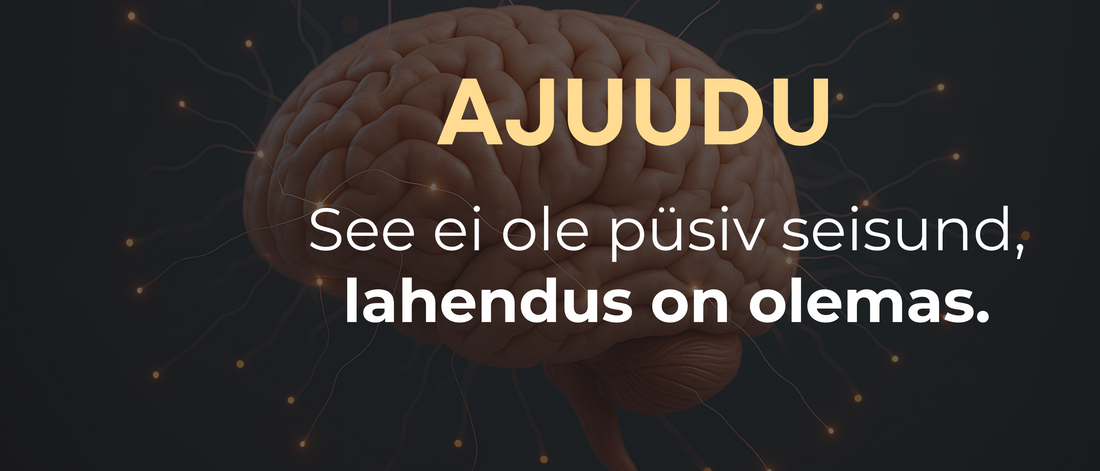 Aju illustratsioon tekstiga – ajuudu ei ole püsiv seisund, lahendus on olemas.