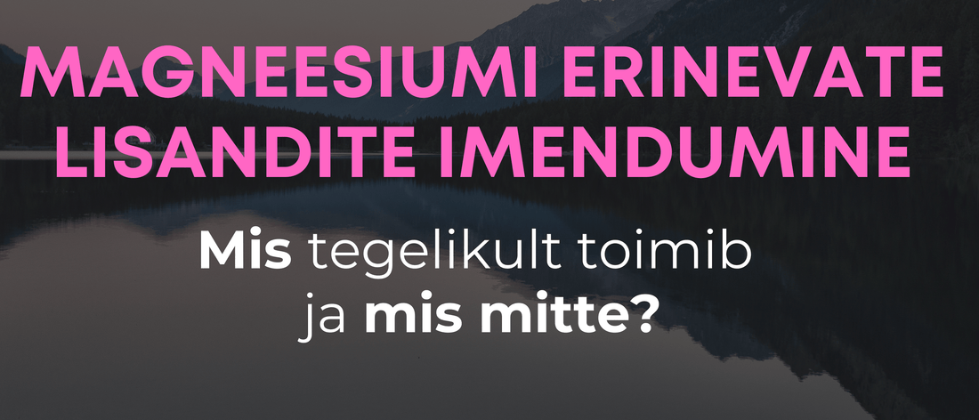 Magneesiumi erinevate lisandite imendumine - Kontamo